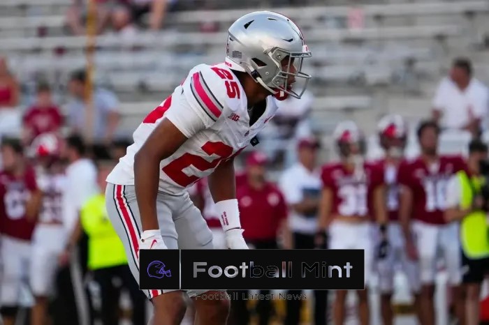 Future NFL wide receiver leads pack of players that are emerging for Ohio State ahead of 2024 season